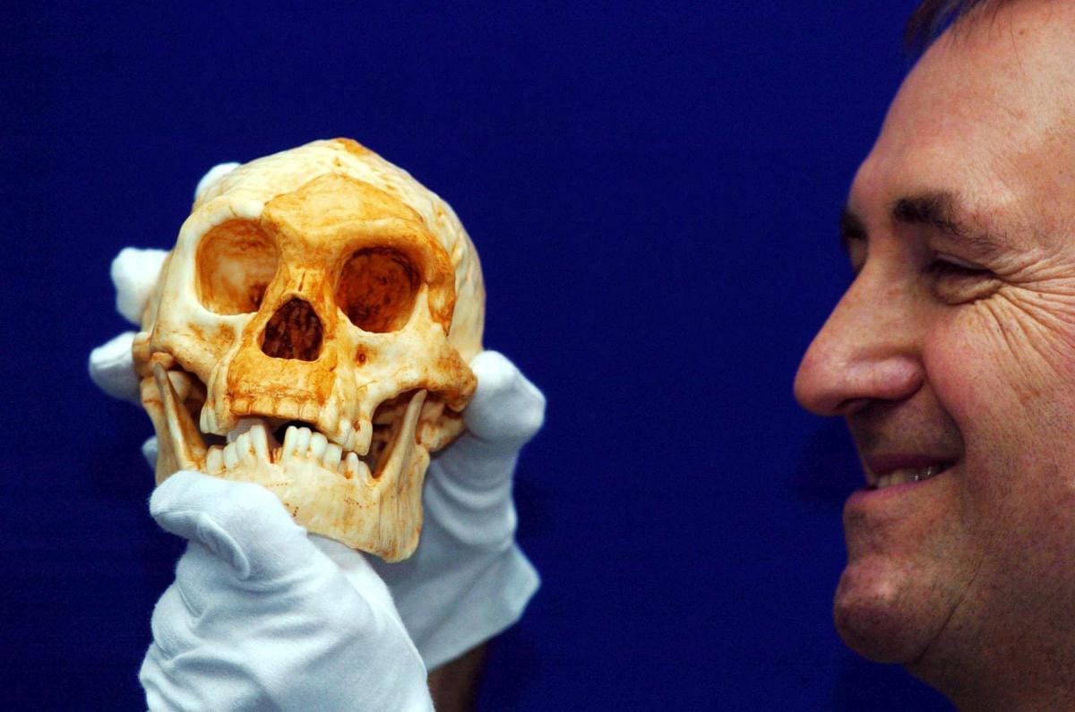 r. Chris Stringer happily observes a recently discovered human skull from Flores, Indonesia, existing 18,000 years ago. 