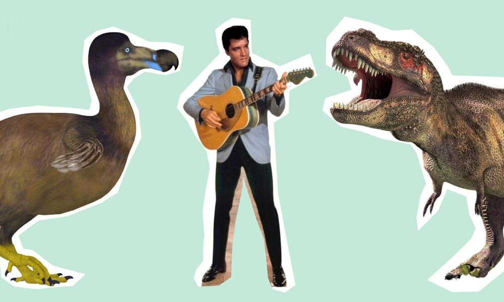 A photo collage featuring a T-Rex, Elvis Presley, and a dodo bird.