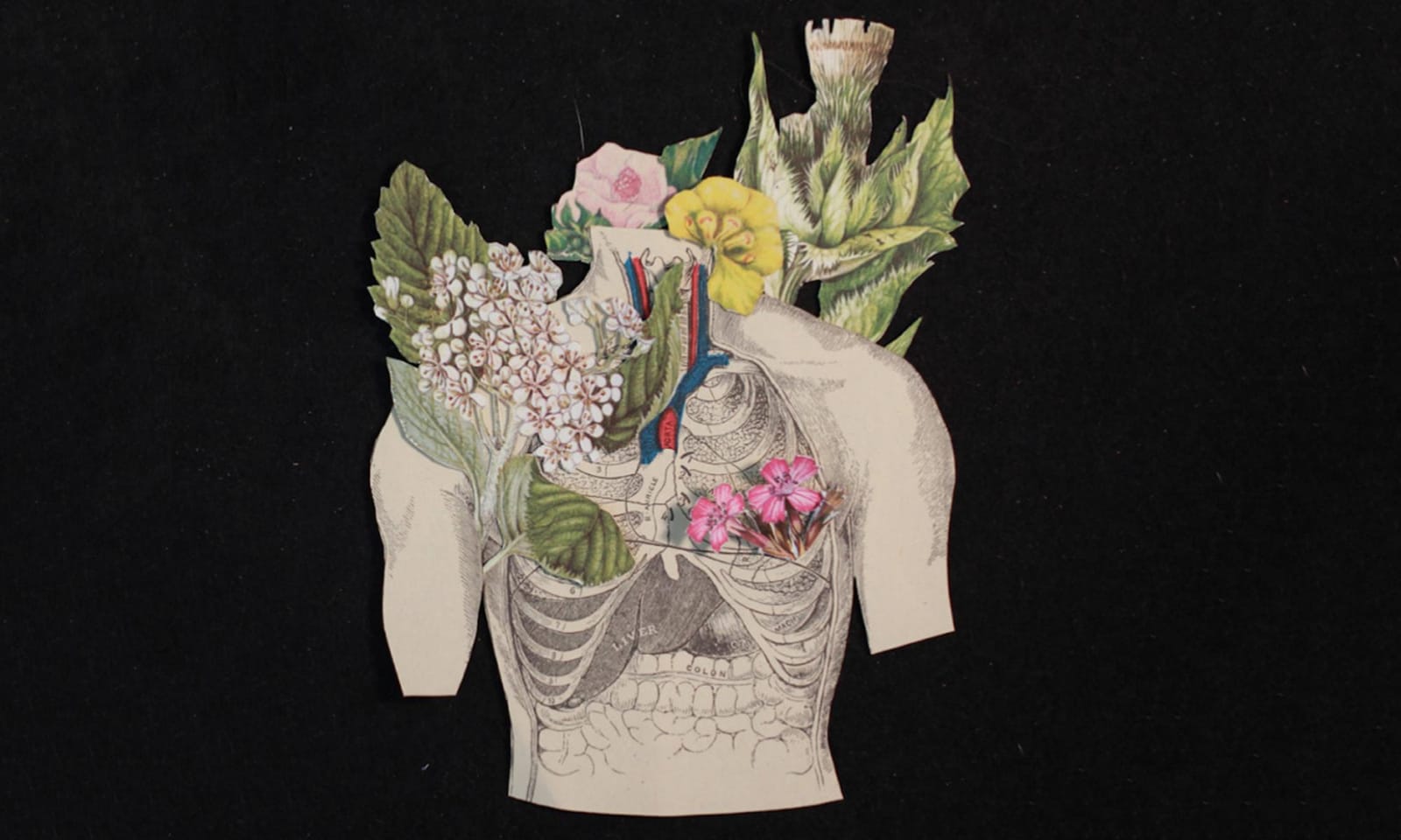 Illustration by Marcus Amaker of a human torso with colorful flowers growing from the lungs, neck, and back.