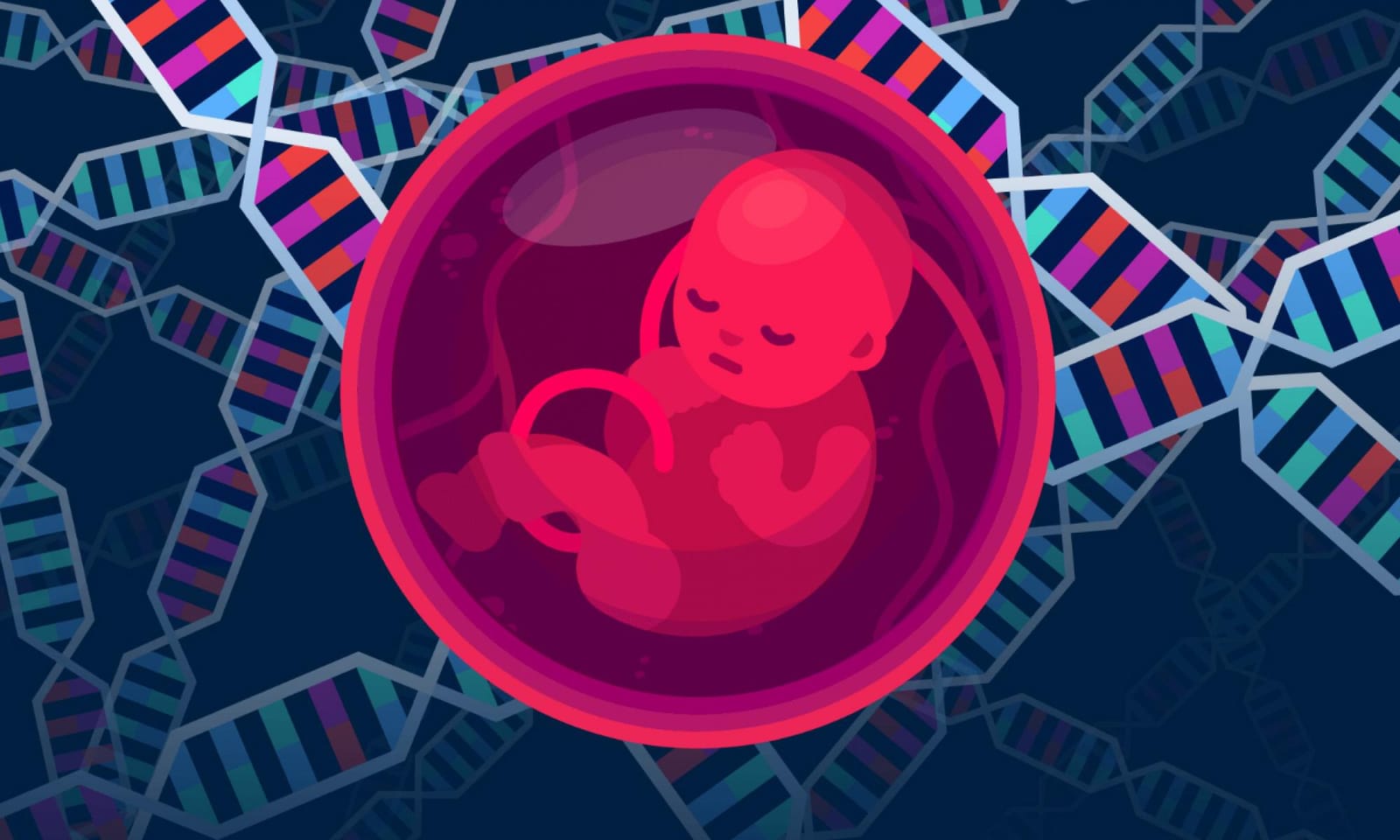 An illustration of a baby inside a womb.